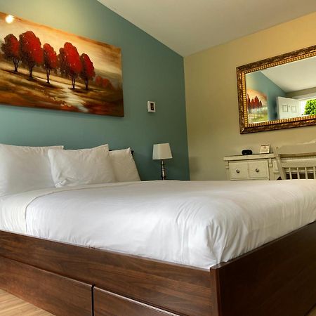 Motel Des Cedres Sherbrooke Bagian luar foto