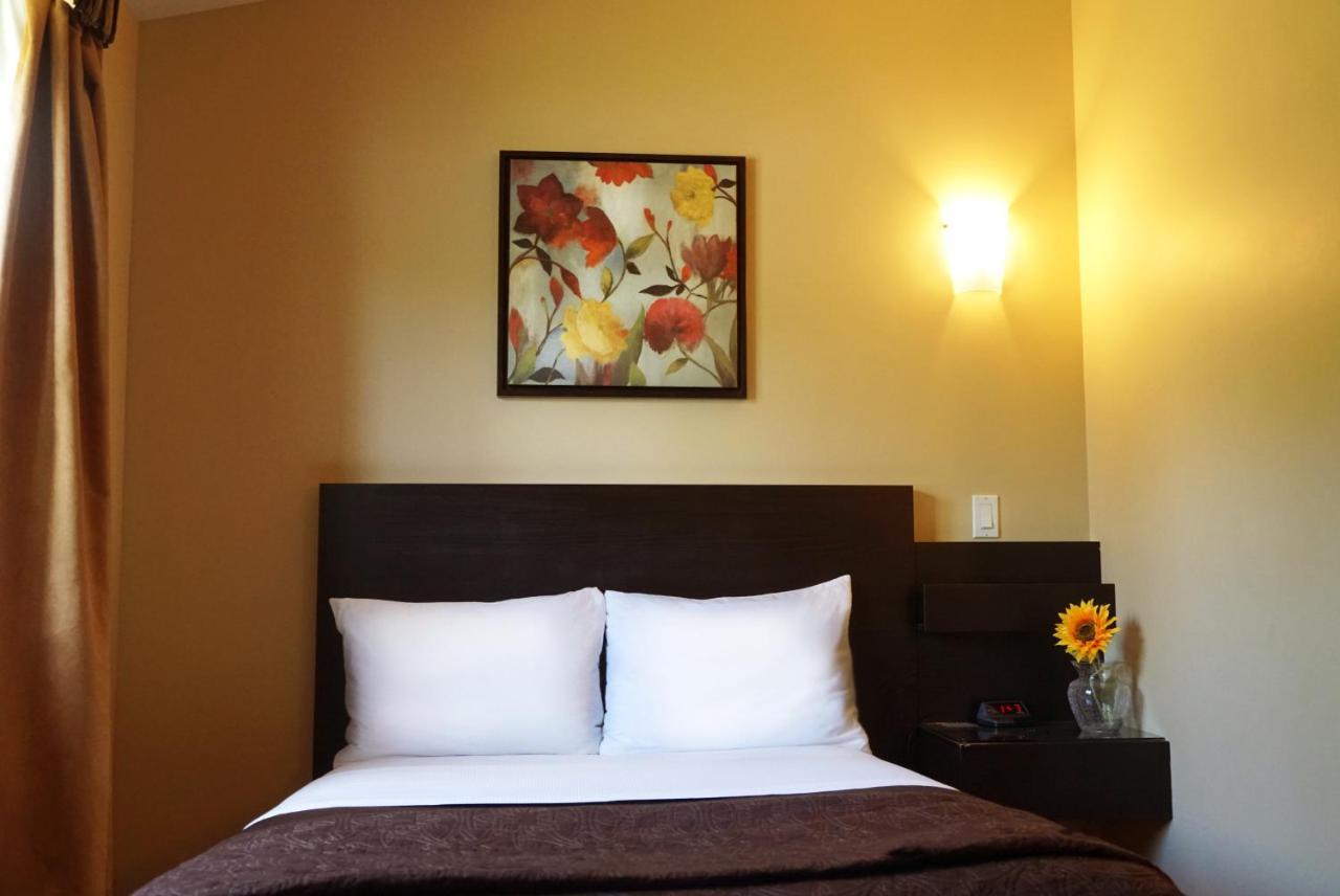 Motel Des Cedres Sherbrooke Bagian luar foto