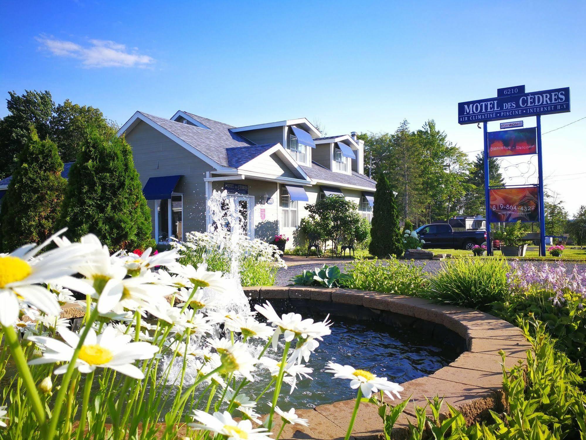 Motel Des Cedres Sherbrooke Bagian luar foto