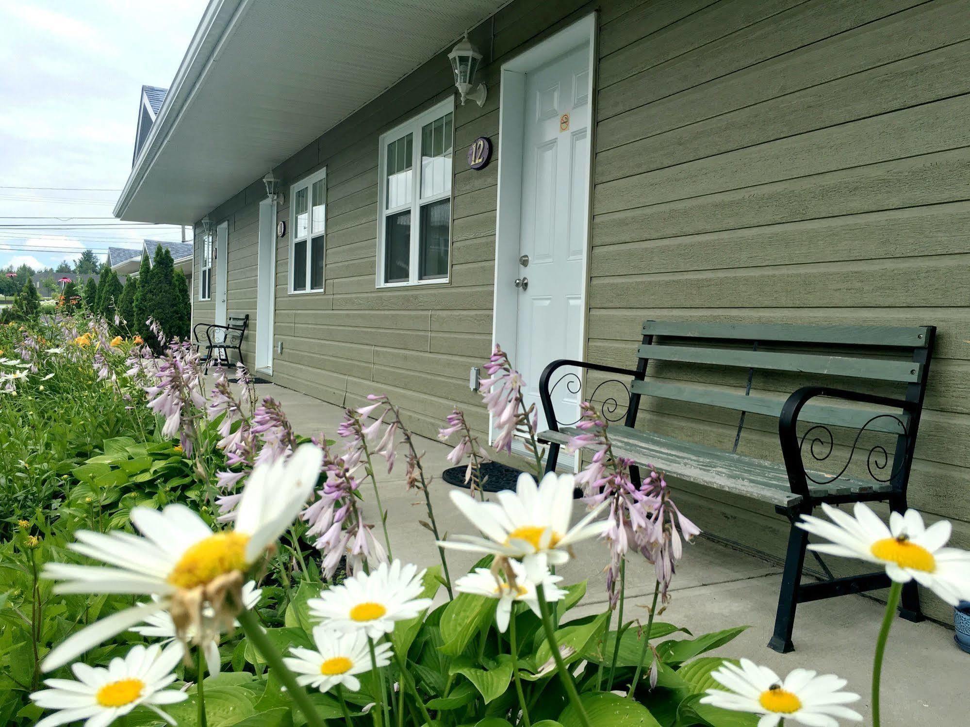 Motel Des Cedres Sherbrooke Bagian luar foto