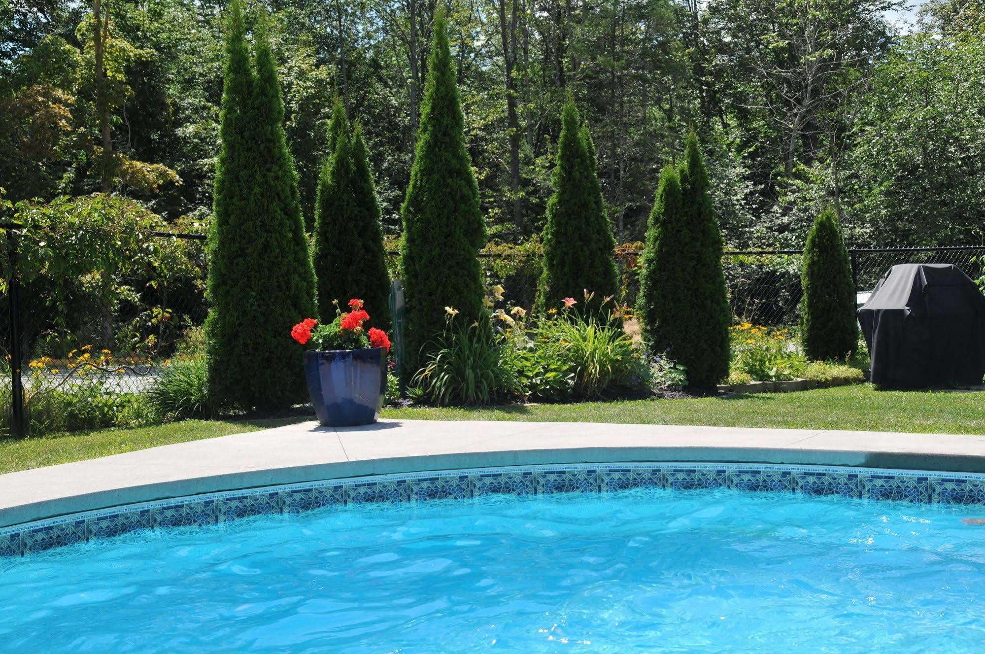 Motel Des Cedres Sherbrooke Bagian luar foto