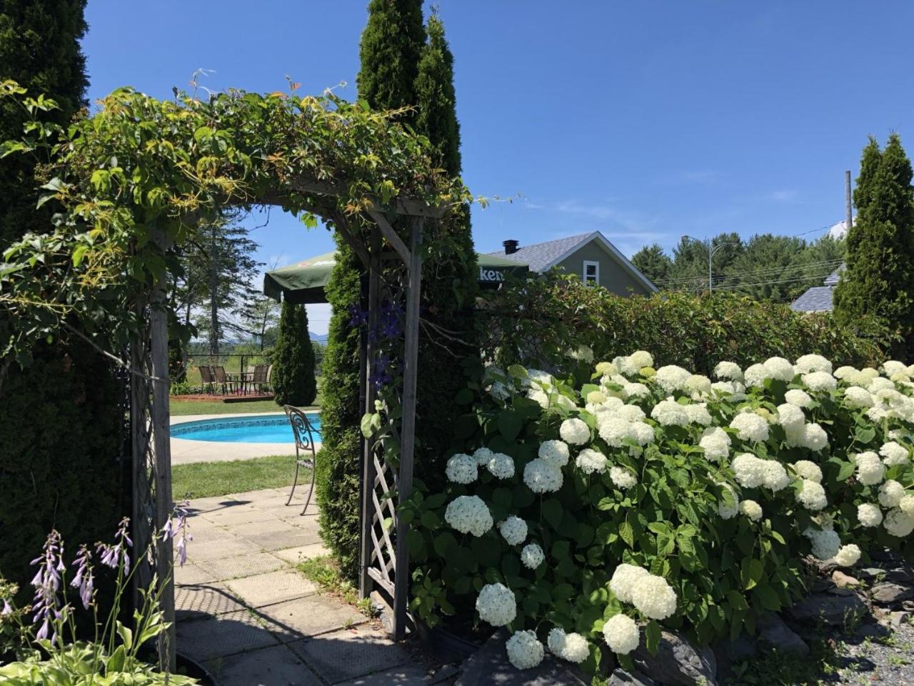 Motel Des Cedres Sherbrooke Bagian luar foto